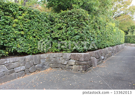 在花園前 13362013