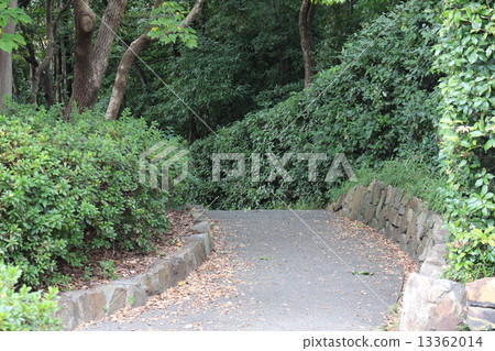 Back of the pathway 13362014