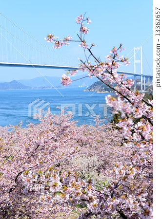 Kurushima Kai Bridge Ohashi 2 13362657