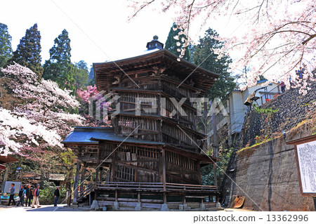 春天的傳奇 13362996