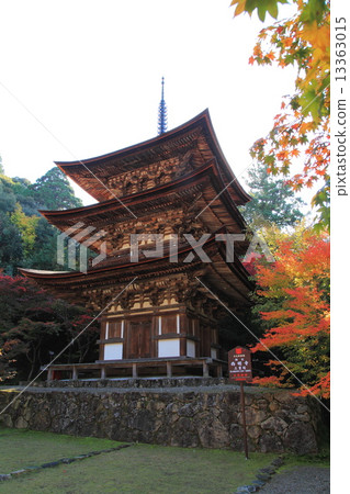 Saigo Miyama Saigyoji秋葉 13363015