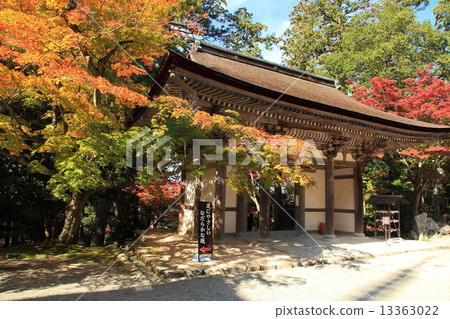 Saigo Miyama Saigyoji秋葉 13363022