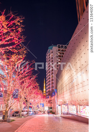 Roppongi Keyakizaka · Illuminations 13364007