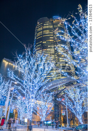 Roppongi Keyakizaka · Illuminations 13364015