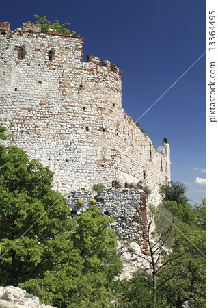Ruins of Devicky Castle Ruins of Devicky Castle 13364495