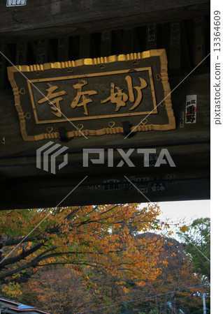 Autumn leaves of Myoji Temple Autumn leaves of Myoji Temple 13364609