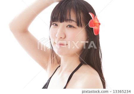 比基尼 人 雞蛋花 13365234