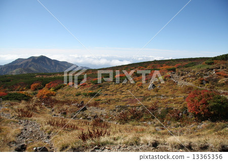 從白山到秋天的山 從白山到秋天的山 13365356