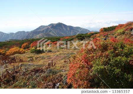 從白山到秋天的山 13365357