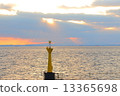 Sea	 13365698