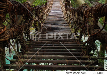 Kazura Bridge in Iya 13366803
