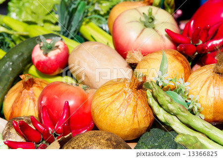 artificial vegetables 13366825