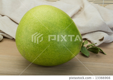Pomelo 13366908