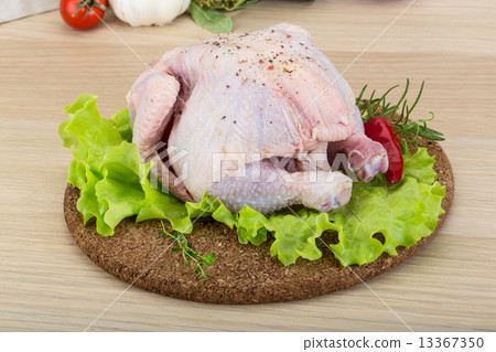 Quail Quail 13367350