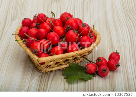 Hawthorn Hawthorn 13367525