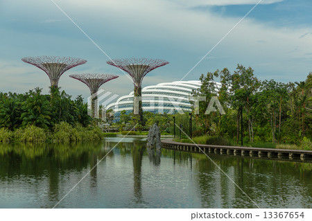 SINGAPORE - MAY 12: Gardens by the Bay on Mar 12, 2014 in Singap SINGAPORE - MAY 12: Gardens by the Bay on Mar 12, 2014 in Singap 13367654