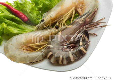 King and waterleg shrimps King and waterleg shrimps 13367805