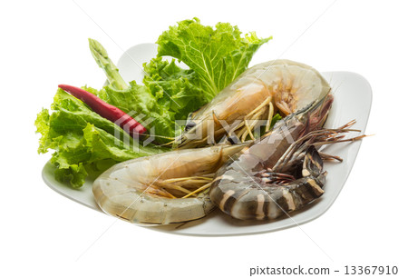 King and waterleg shrimps King and waterleg shrimps 13367910