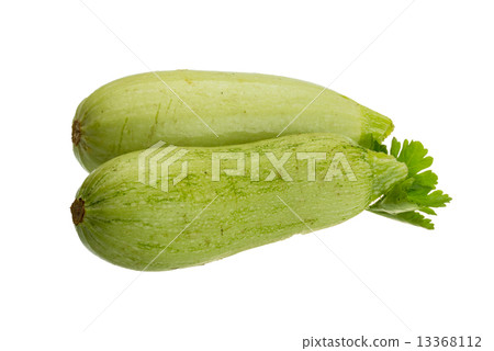 Zuchini Zuchini 13368112