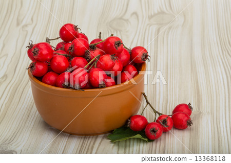 Hawthorn 13368118