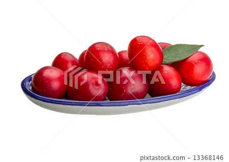 Damson plum 13368146