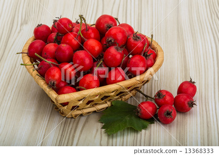 Hawthorn Hawthorn 13368333
