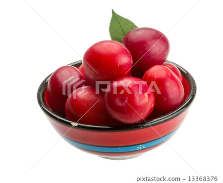 Damson plum Damson plum 13368376