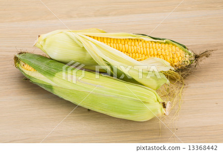 Corn Corn 13368442