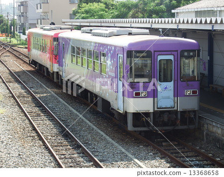 Hojo Railway Flower 2000 13368658