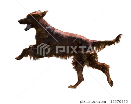Running Sotar Rua Running Sotar Rua 13370353