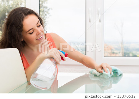 Brunette woman cleaning furniture 13370532