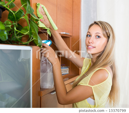 Woman dusting wooden furniture 13370799