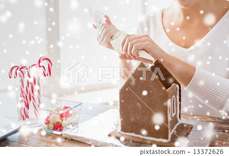 close up of woman making gingerbread houses 13372626