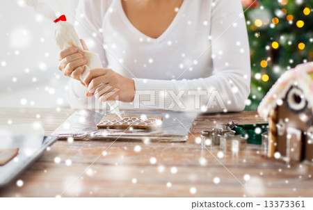 close up of woman making gingerbread houses 13373361