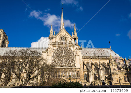 巴黎圣母院大教堂 13375409