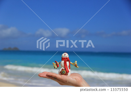 夏威夷的聖誕節Waimanalo夏威夷海灘 夏威夷的聖誕節Waimanalo夏威夷海灘 13375550