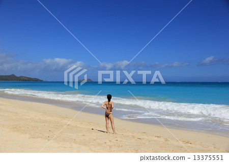 Waimanalo Hawaii beach Waimanalo Hawaii beach 13375551
