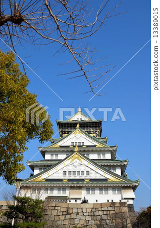 Osaka Castle Tenson 13389015