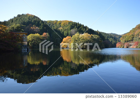 Kamakura Lake Autumn leaves Saitama 13389060