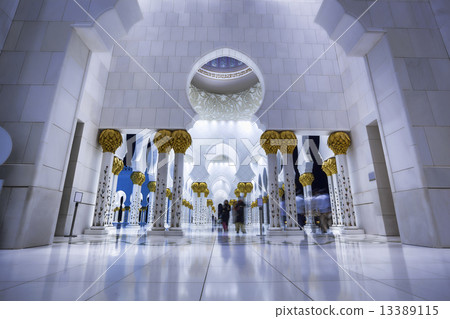 Sheikh Zayed mosque in Abu Dhabi, United Arab Emirates, Middle East 13389115