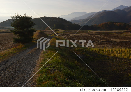 In November of Fujimi Town, Nagano Prefecture 13389362