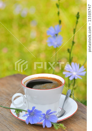Chicory hot drink and a flower Chicory hot drink and a flower 13389747