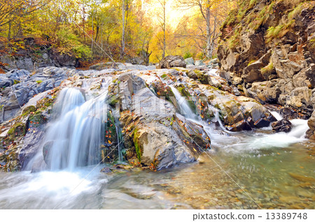 Autumn Falls Autumn Falls 13389748