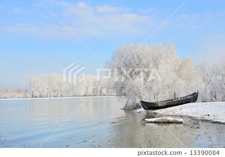 Frosty winter trees near Danube river Frosty winter trees near Danube river 13390084