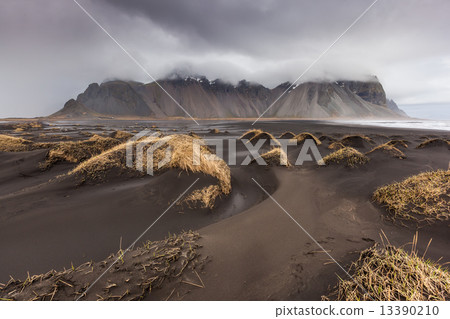 Vesturhorn Mountain and black sand dunes, Iceland 13390210
