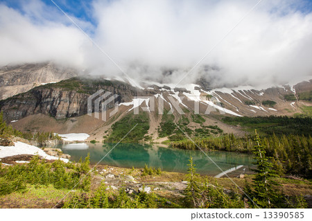 Iceberg lake trail, glacier national park Iceberg lake trail, glacier national park 13390585