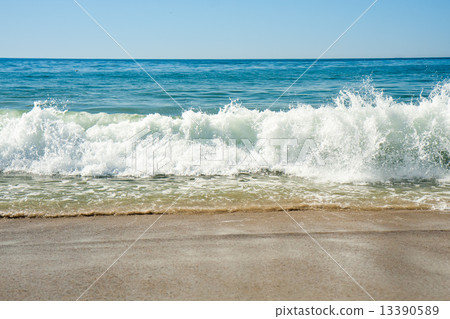 Laguna Beach wave 13390589