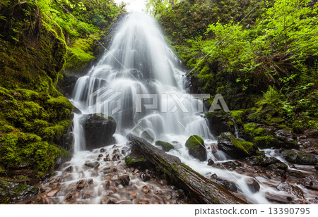 Fairy falls in Columbia River Gorge, Oregon 13390795