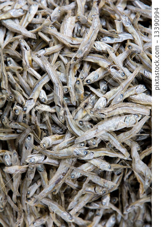 Dried Sardines 13390994