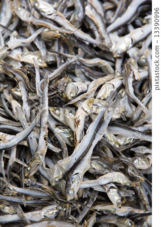 Dried Sardines 13390996